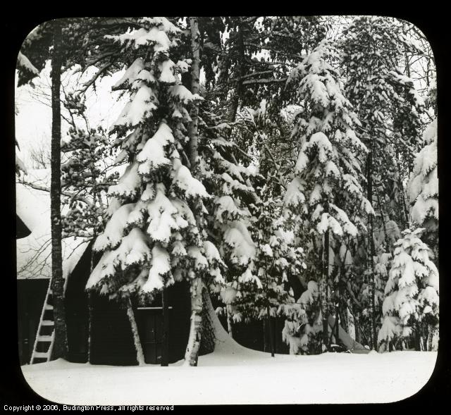 Cabin in the Snow